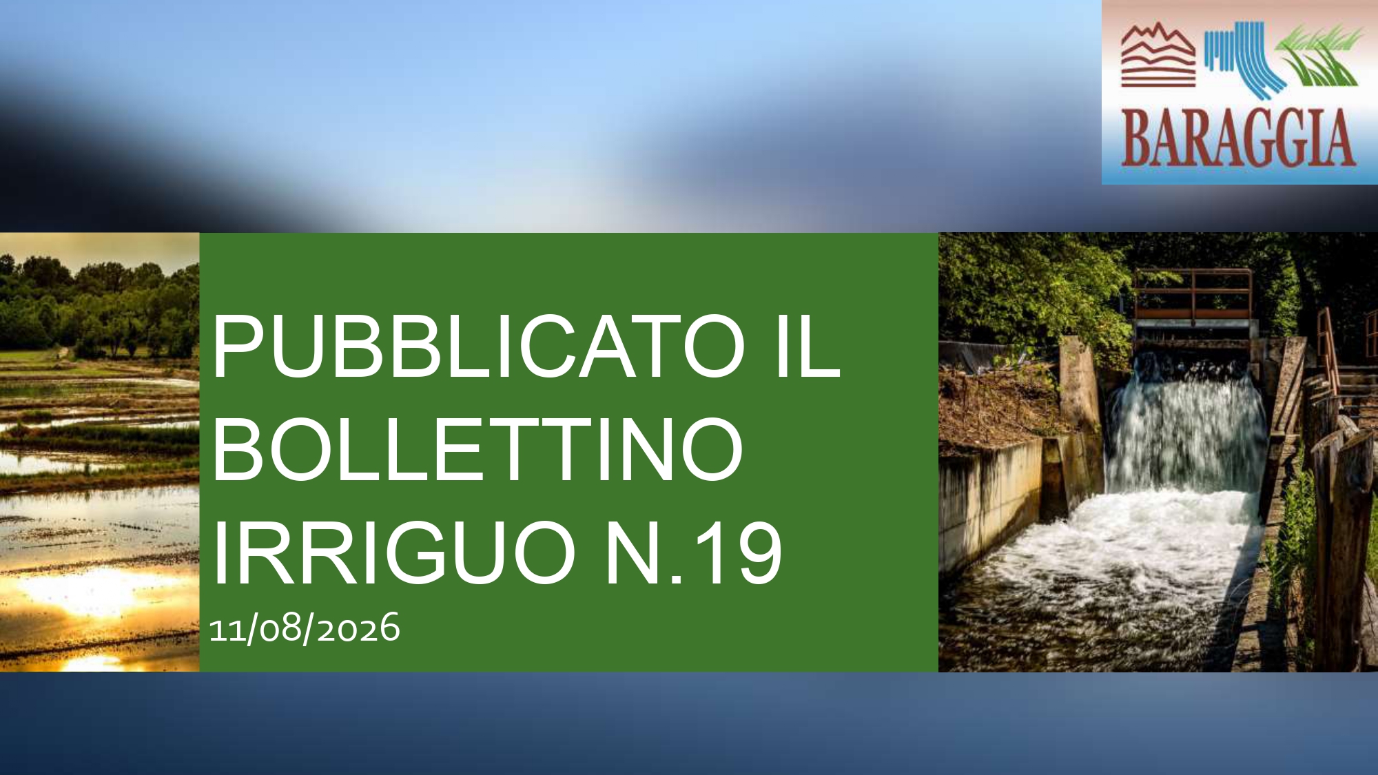 Pubblicato il bollettino irriguo n. 19 del 11.08.2026