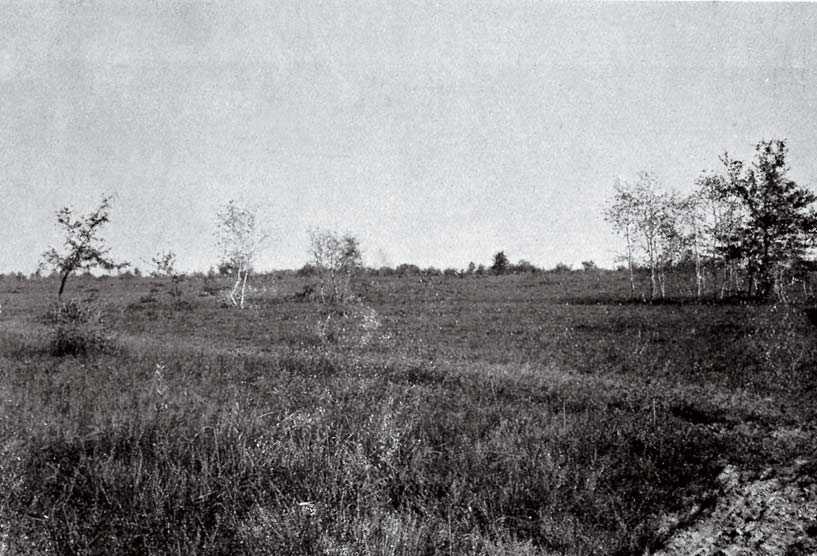 Baraggia di Rovasenda negli anni Venti