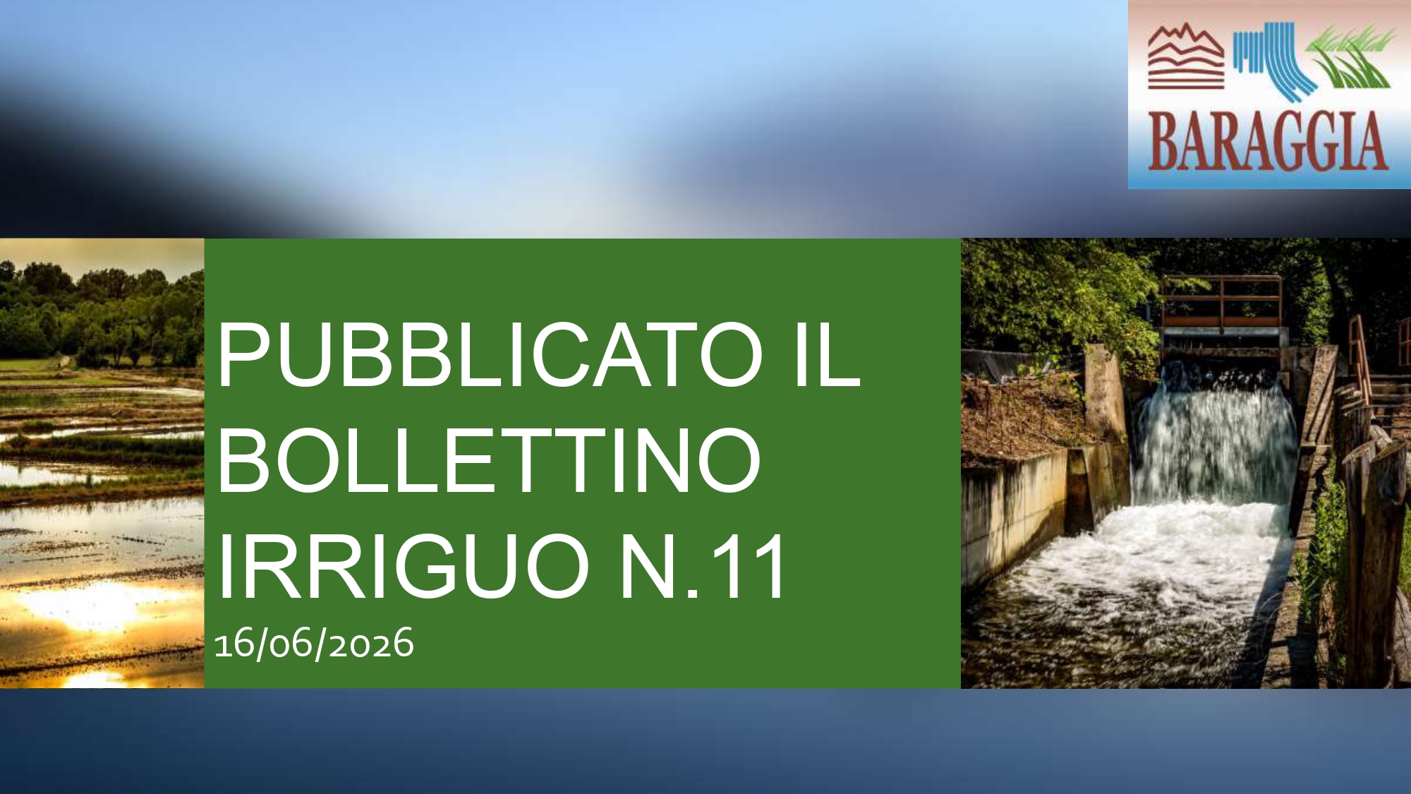 Pubblicato il bollettino irriguo n. 11 del 16.06.2026