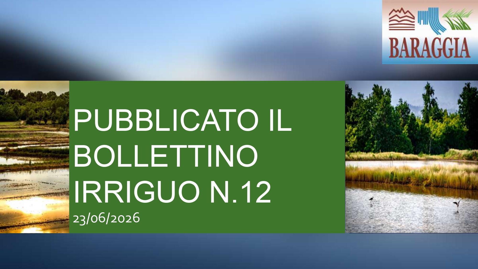 Pubblicato il bollettino irriguo n. 12 del 23.06.2026